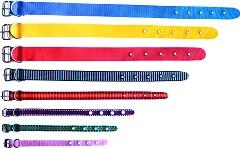 COLEIRA SIMPLES N 06 50CM CORES SORTIDAS